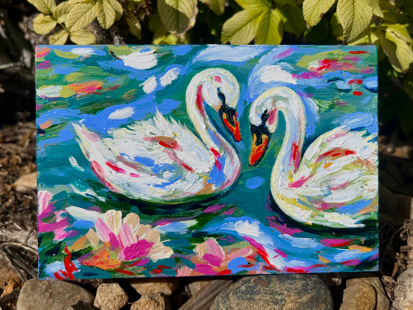 Swans