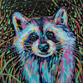 Rascoon - 6x6 Acrylic Mini Doodle