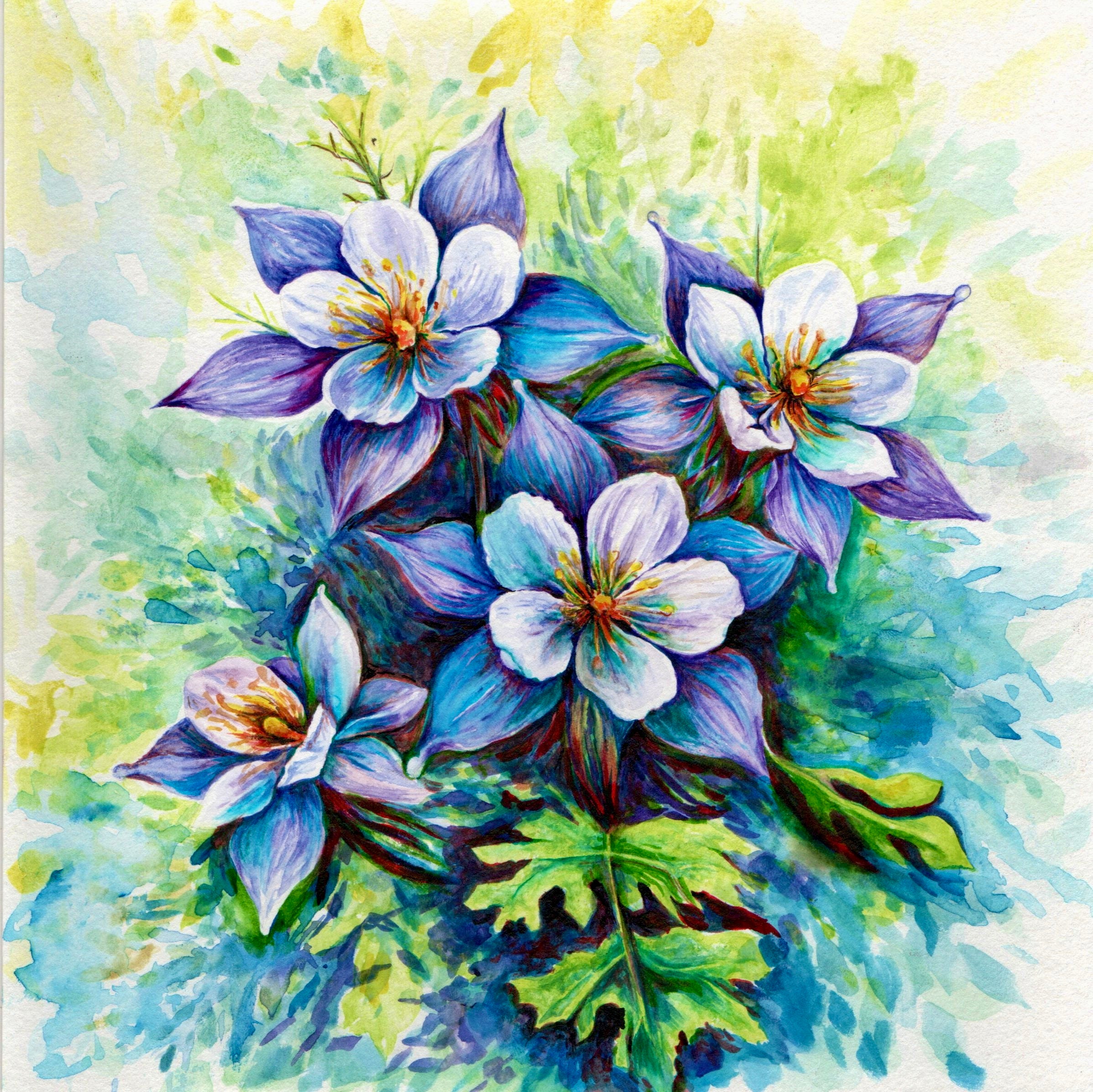 Blue Columbine Print