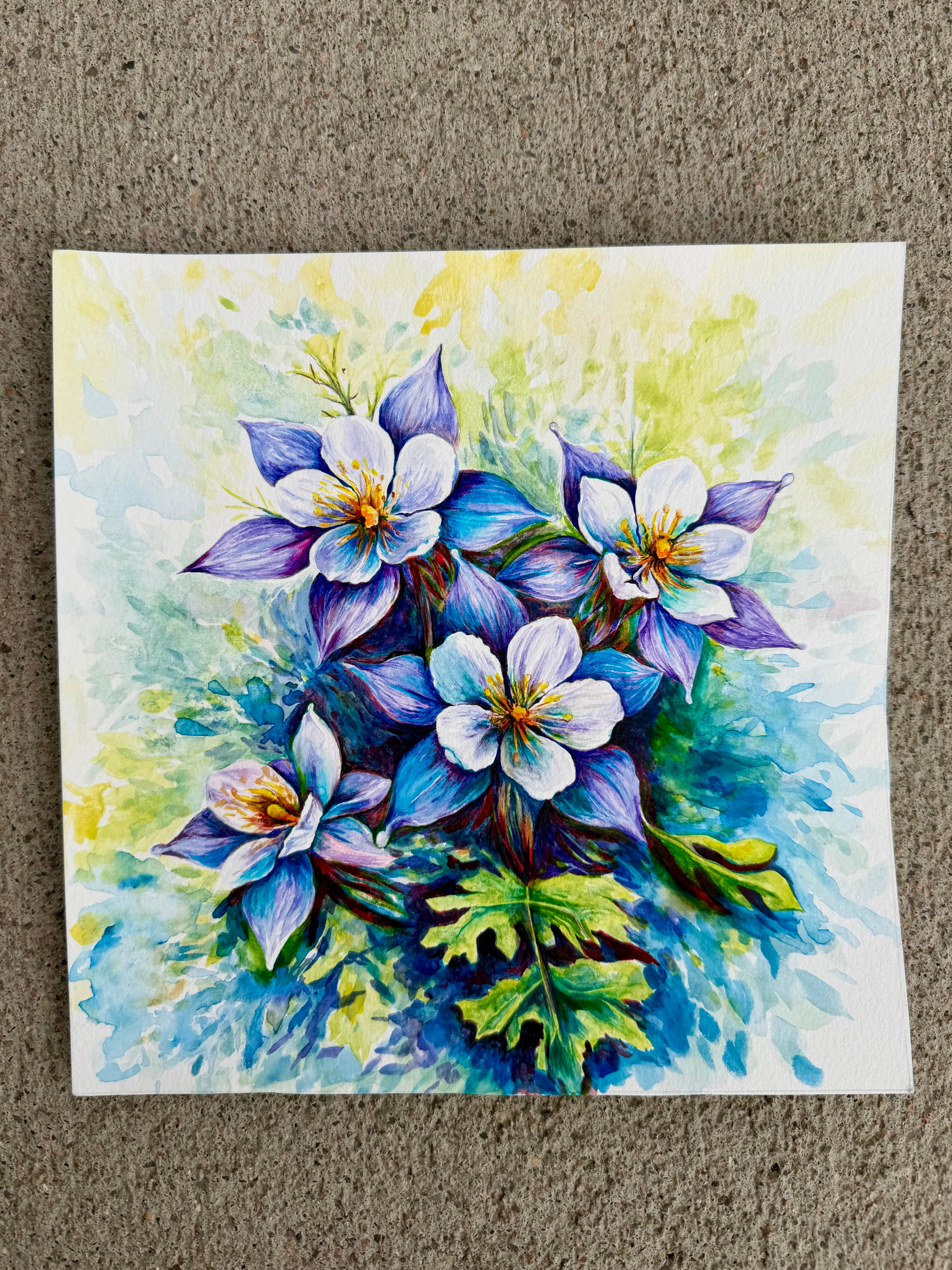 Blue Columbine - 8x8 Watercolor