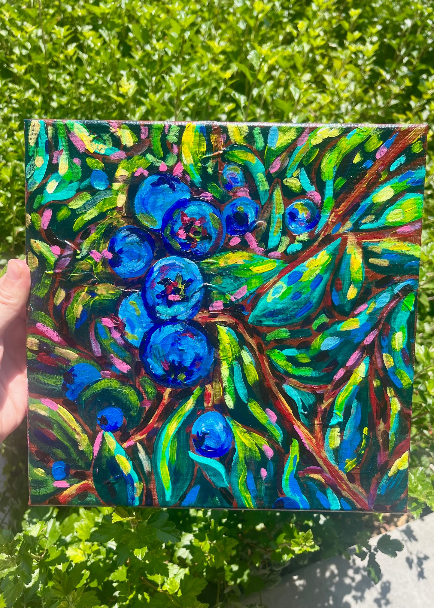 Blueberries