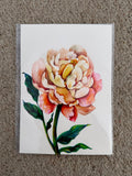 Peony - 5x7 Watercolor