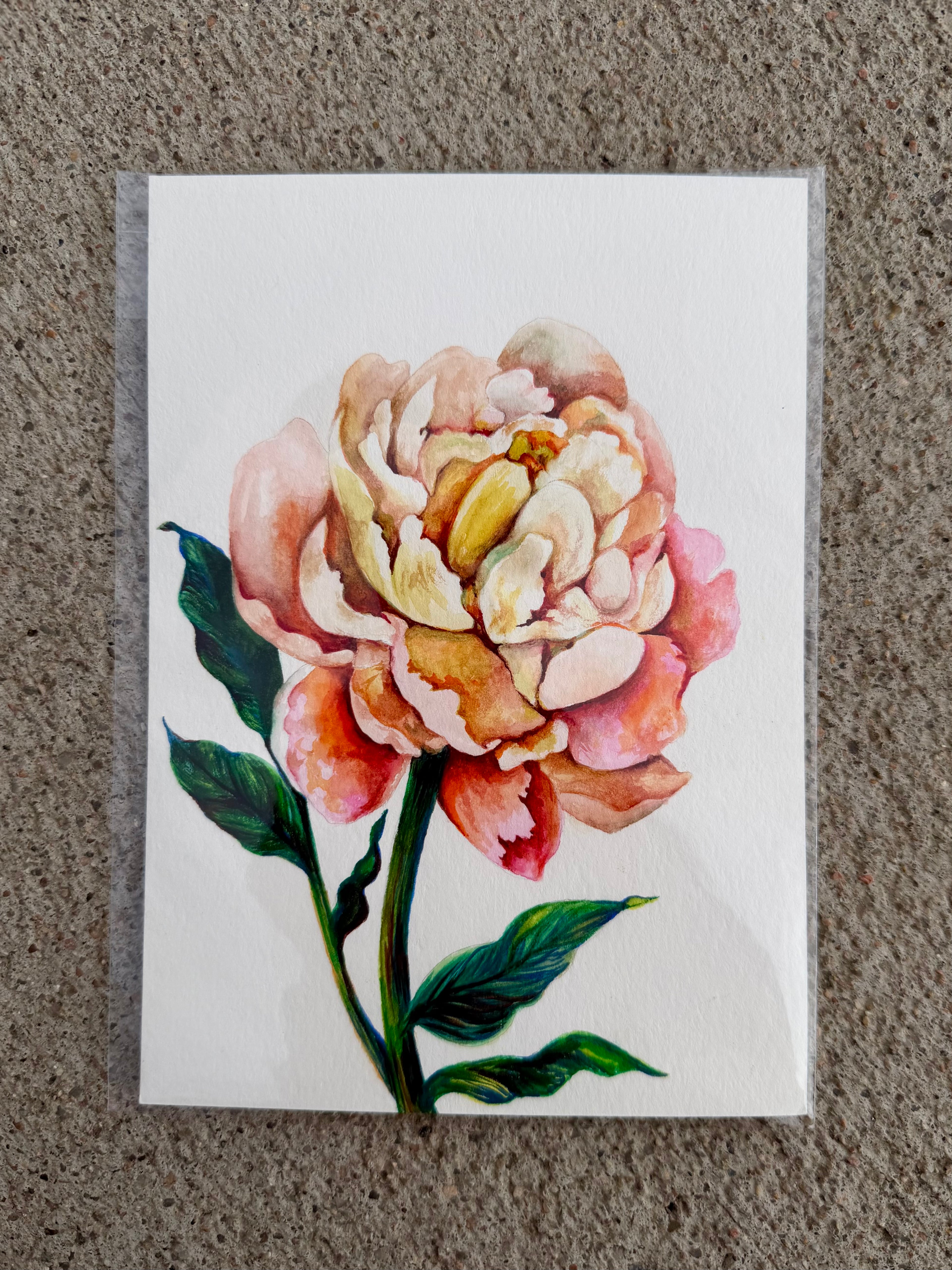 Peony - 5x7 Watercolor