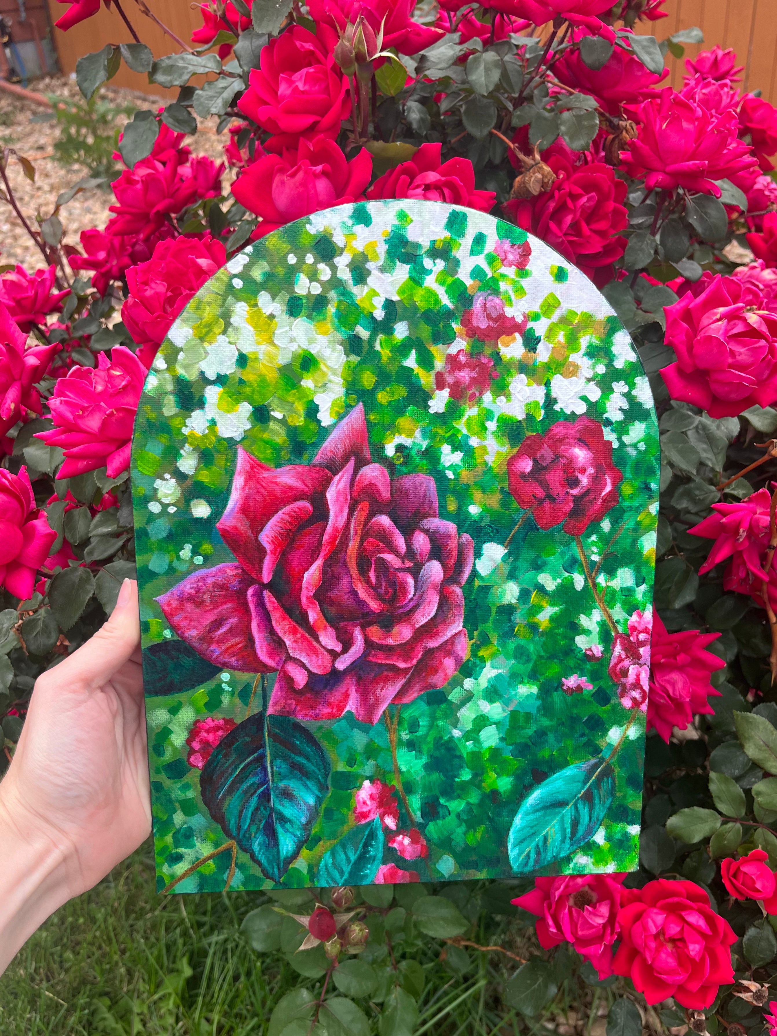 Rose 🌹
