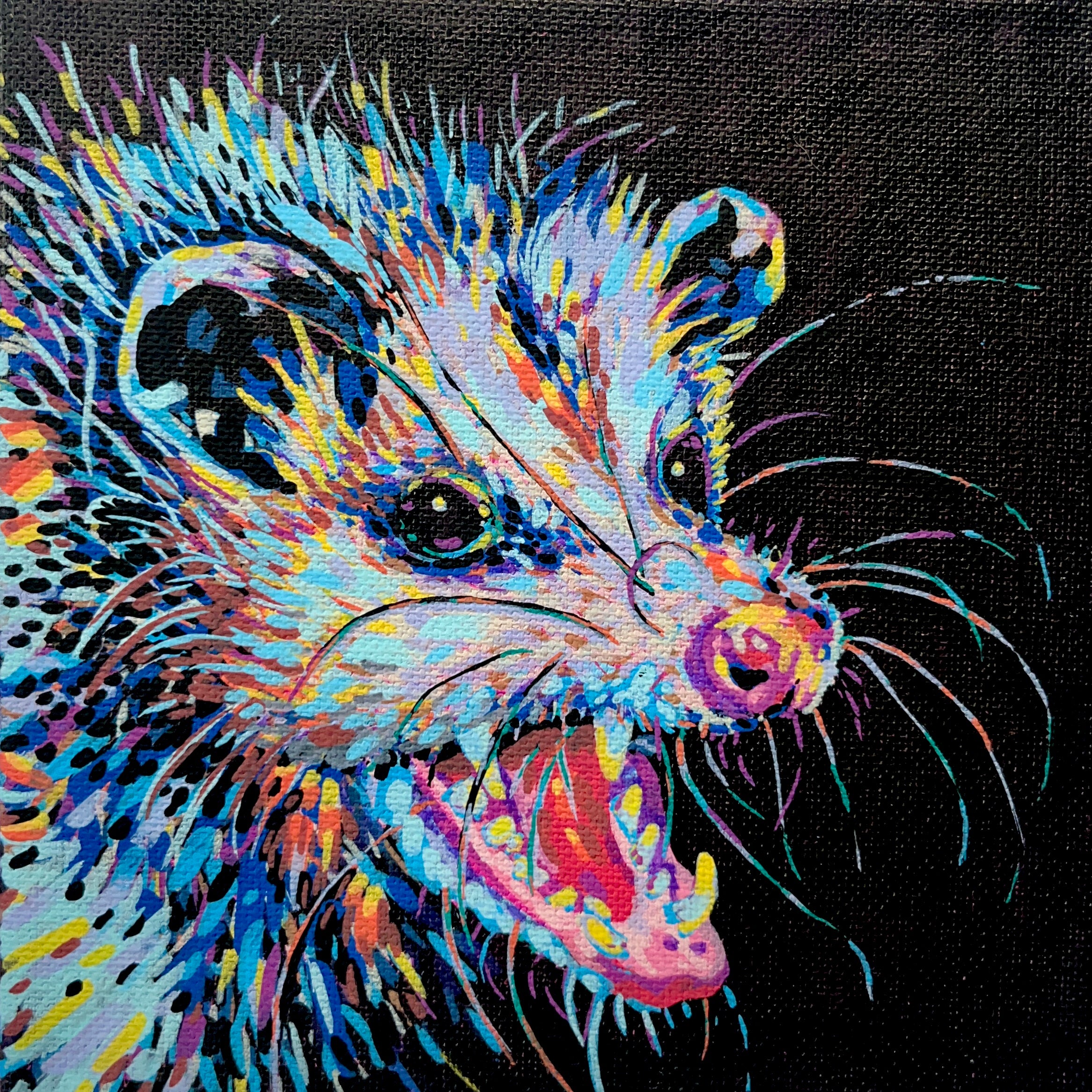 Galactic Possum - 6x6 Acrylic Mini Doodle
