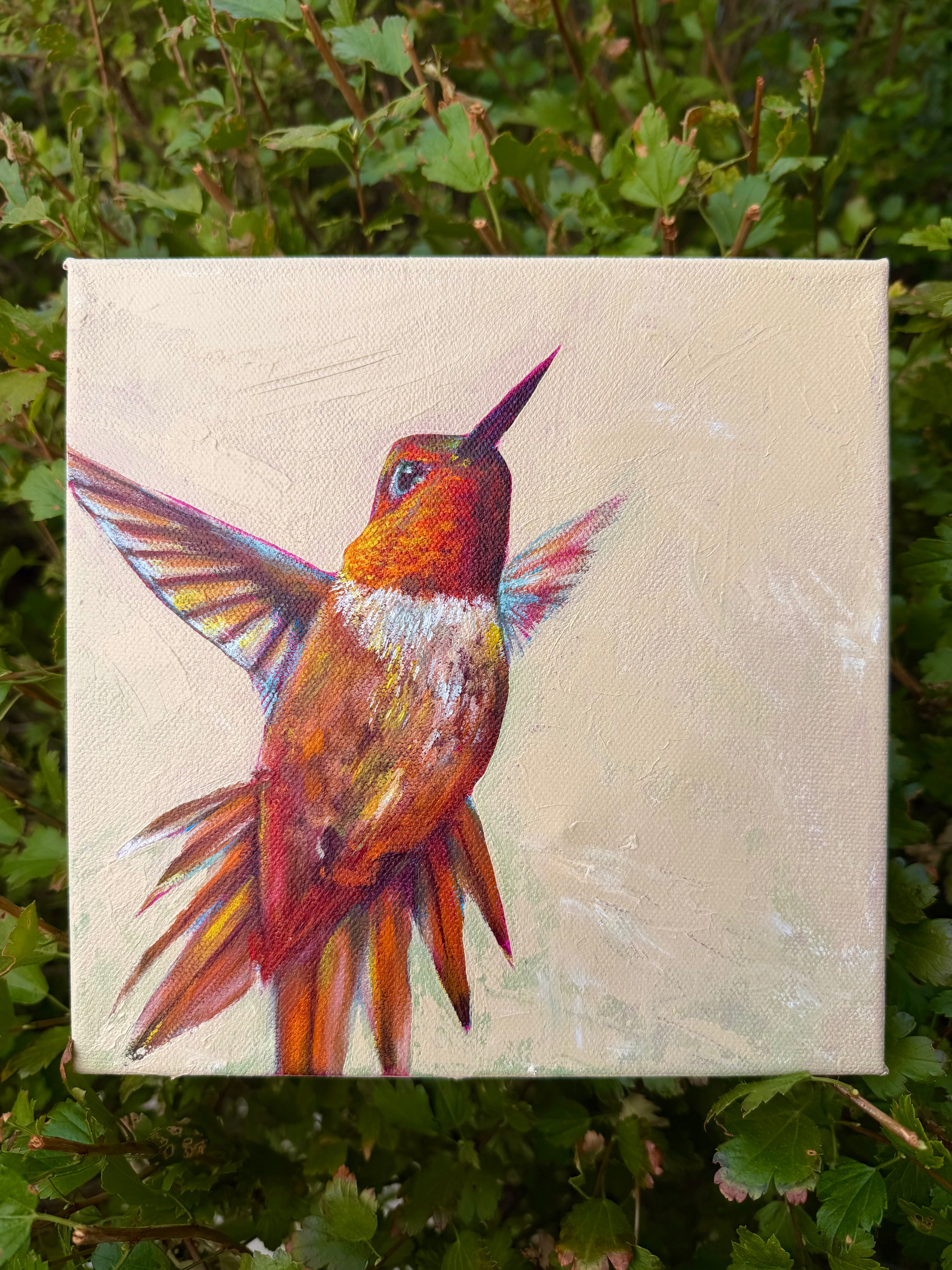 Red Hummingbird