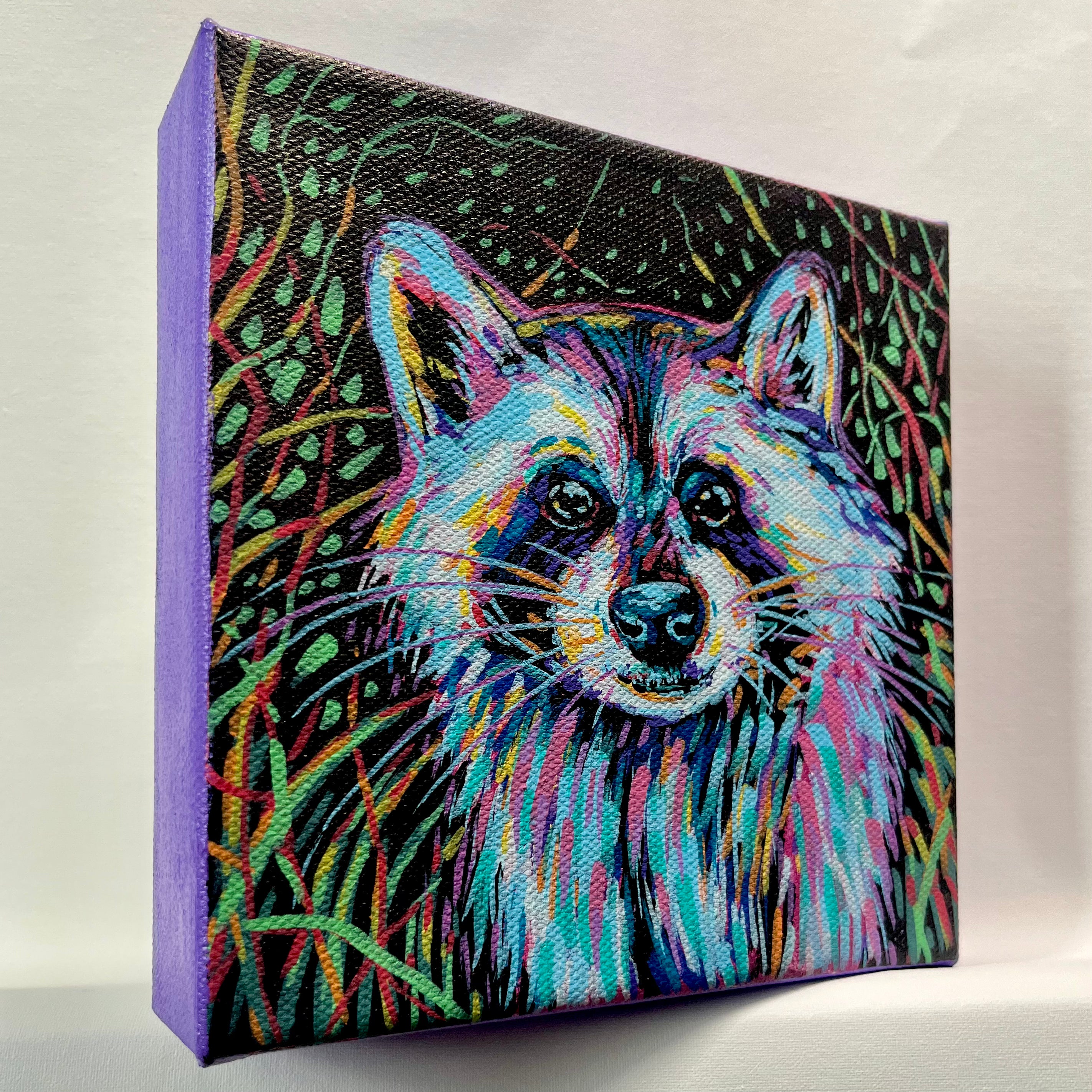 Rascoon - 6x6 Acrylic Mini Doodle