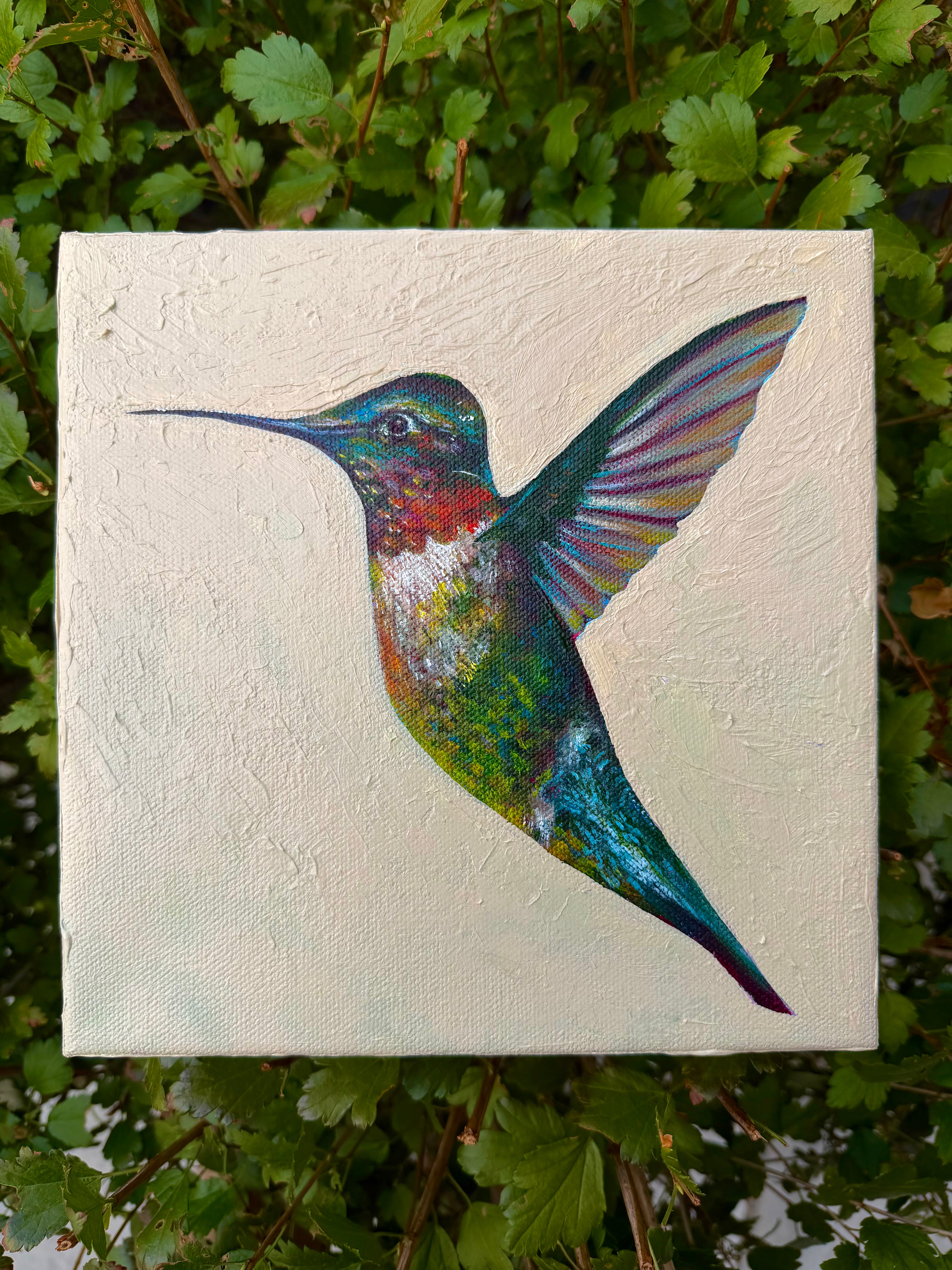 Green Hummingbird