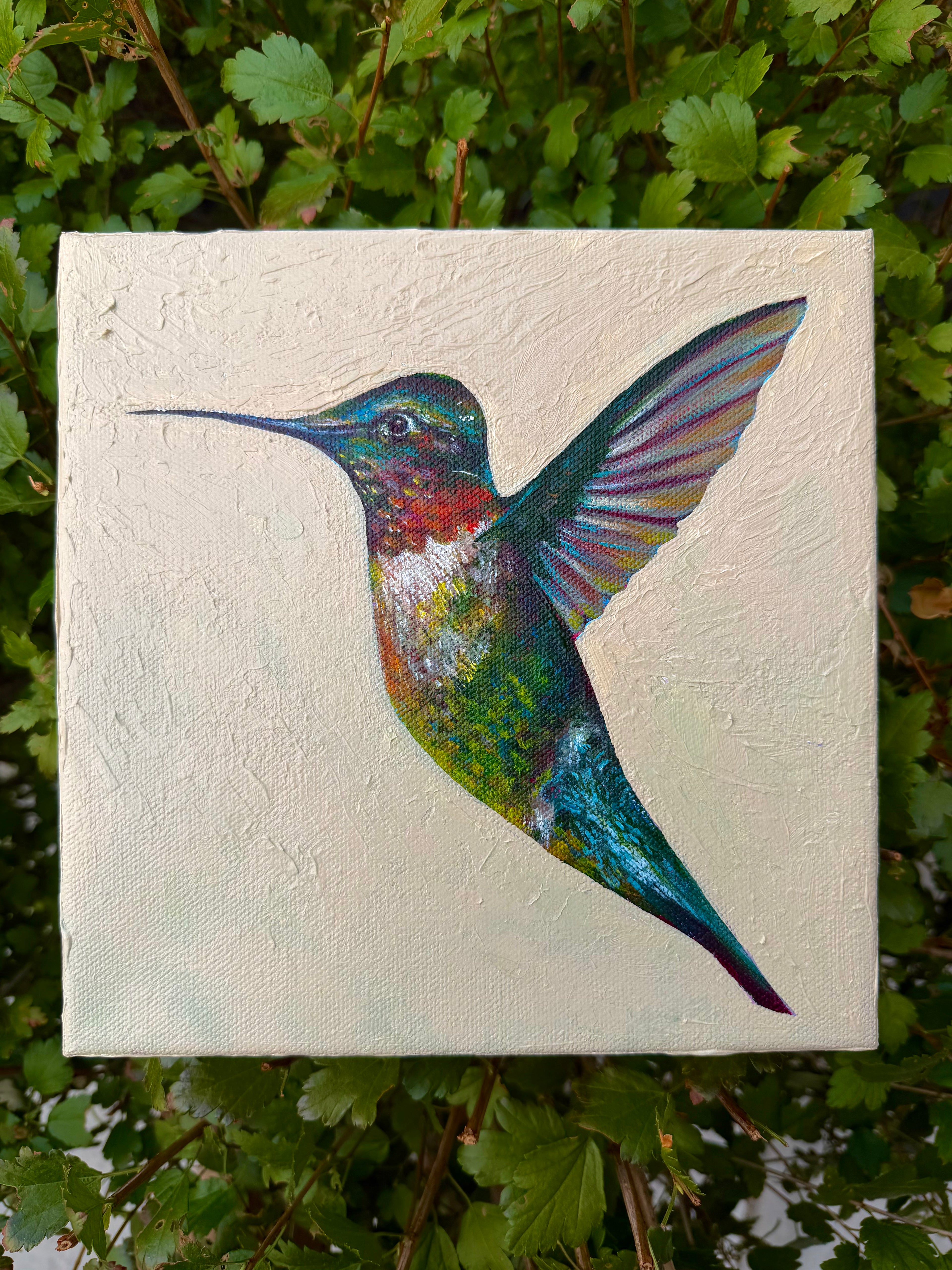Green Hummingbird