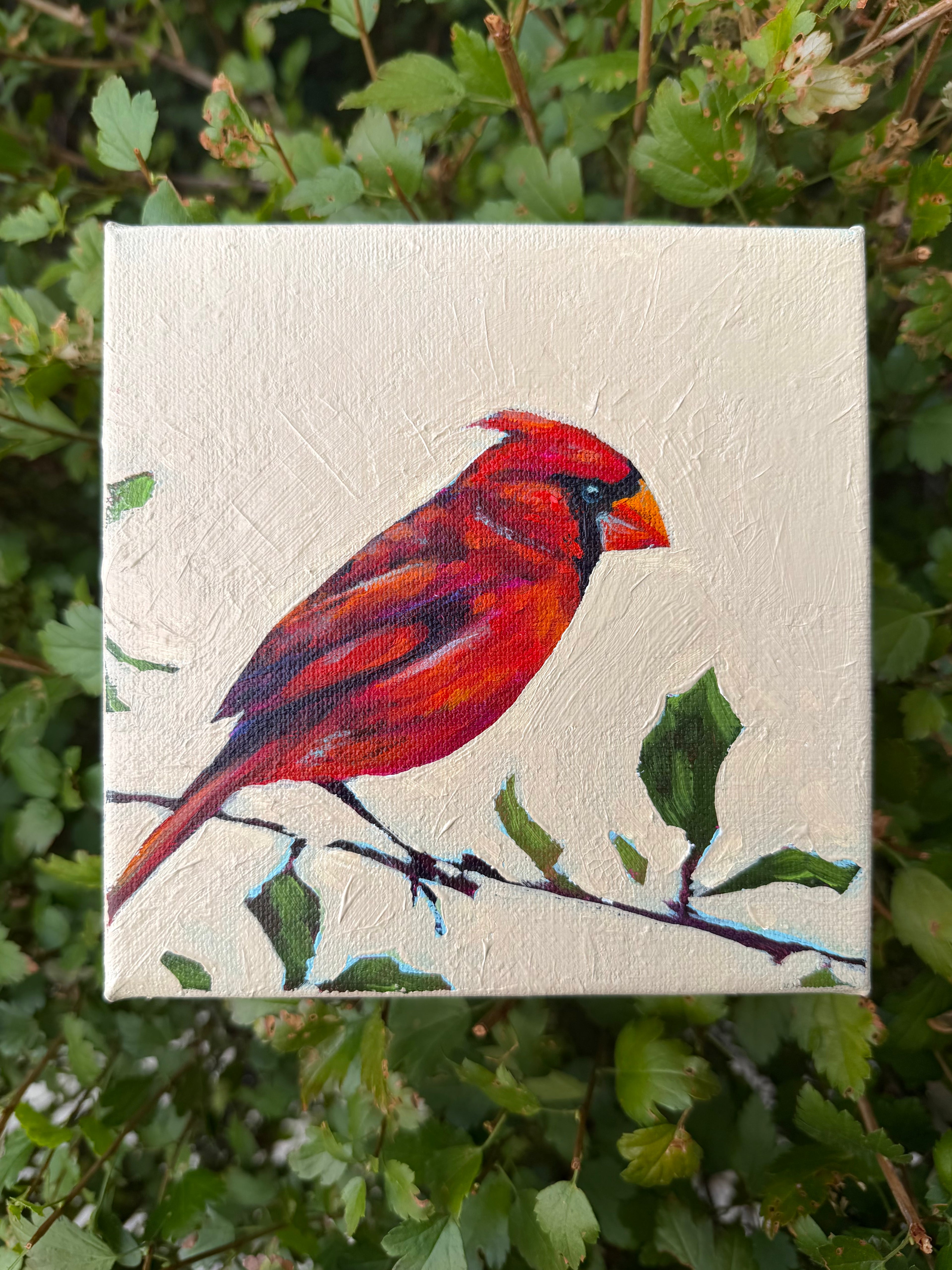 Cardinal