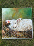 “Sleepy Lamb”