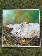 “Sleepy Lamb”
