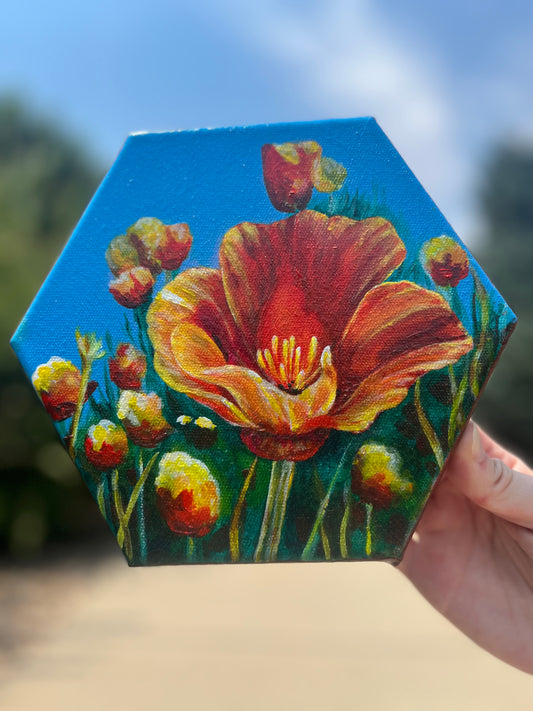 Cali Poppy