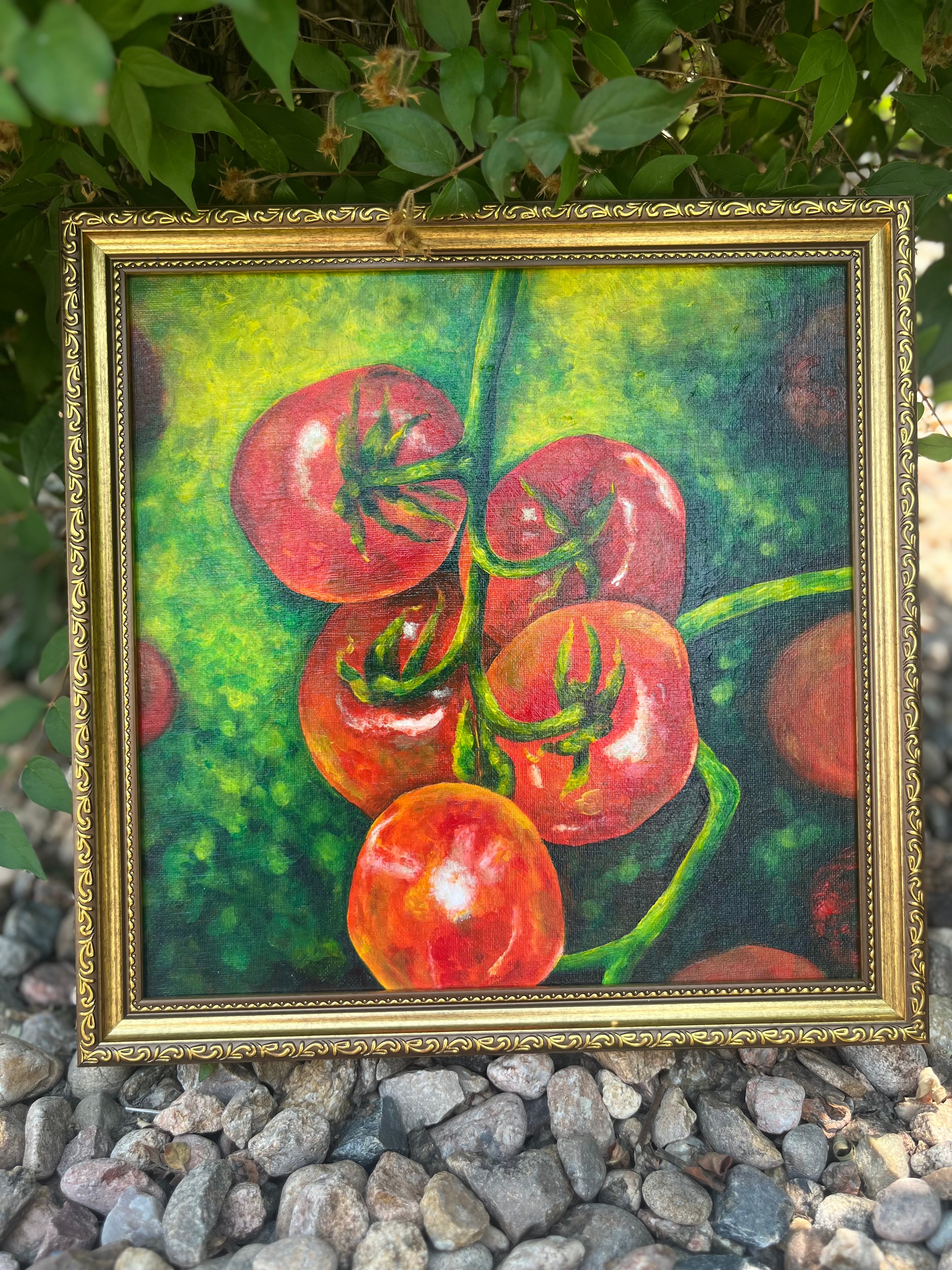 Tomato Plant