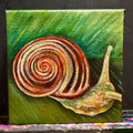 Snail