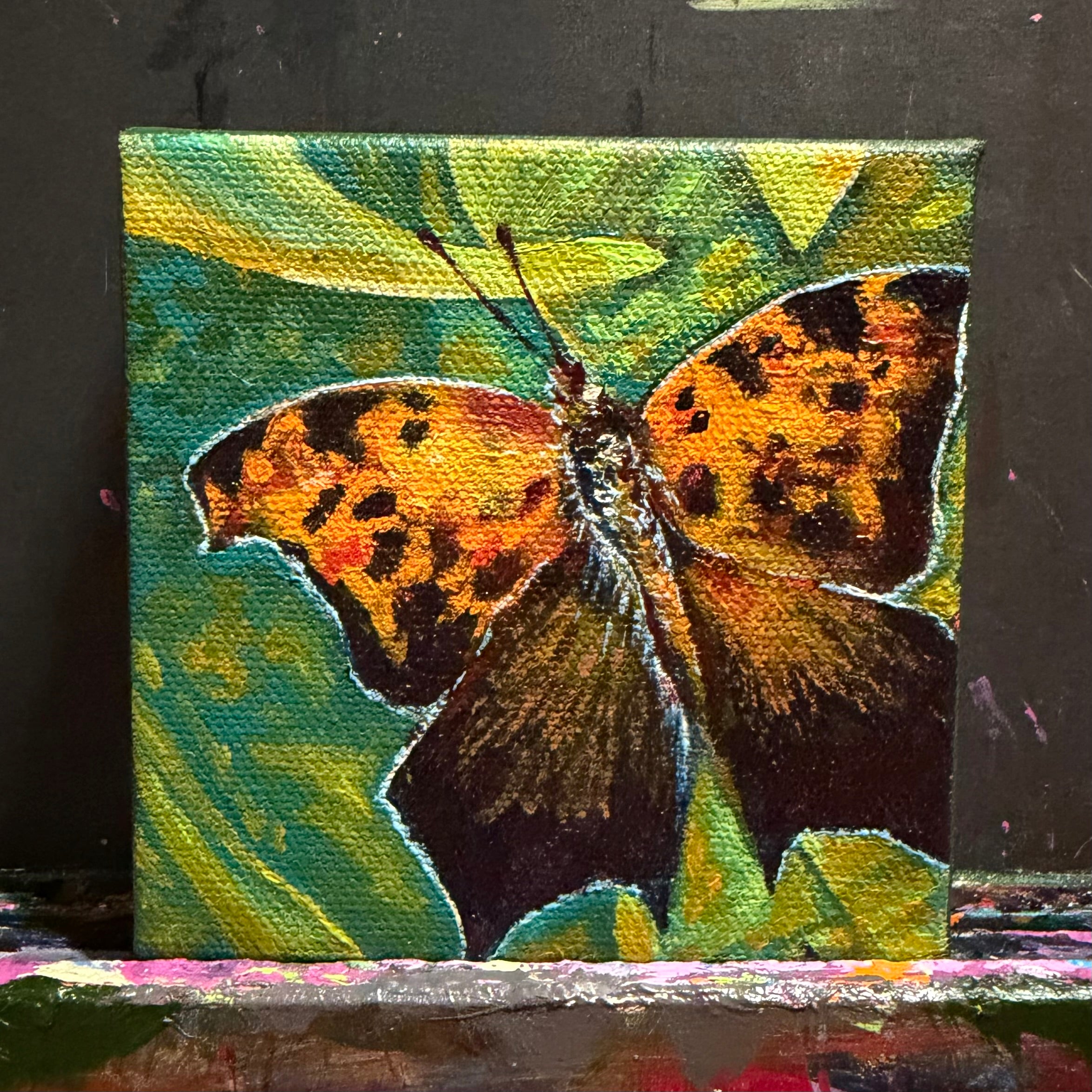 Question Mark Butterfly