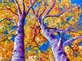 Wild Birch - 16x20 Oil